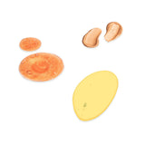 Kit Golden D'Luchi (3 Productos)